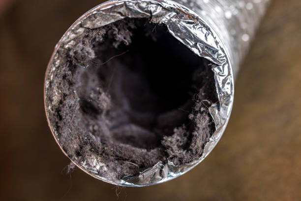 Best Best Air Duct Cleaning Company  in Gilmer, TX